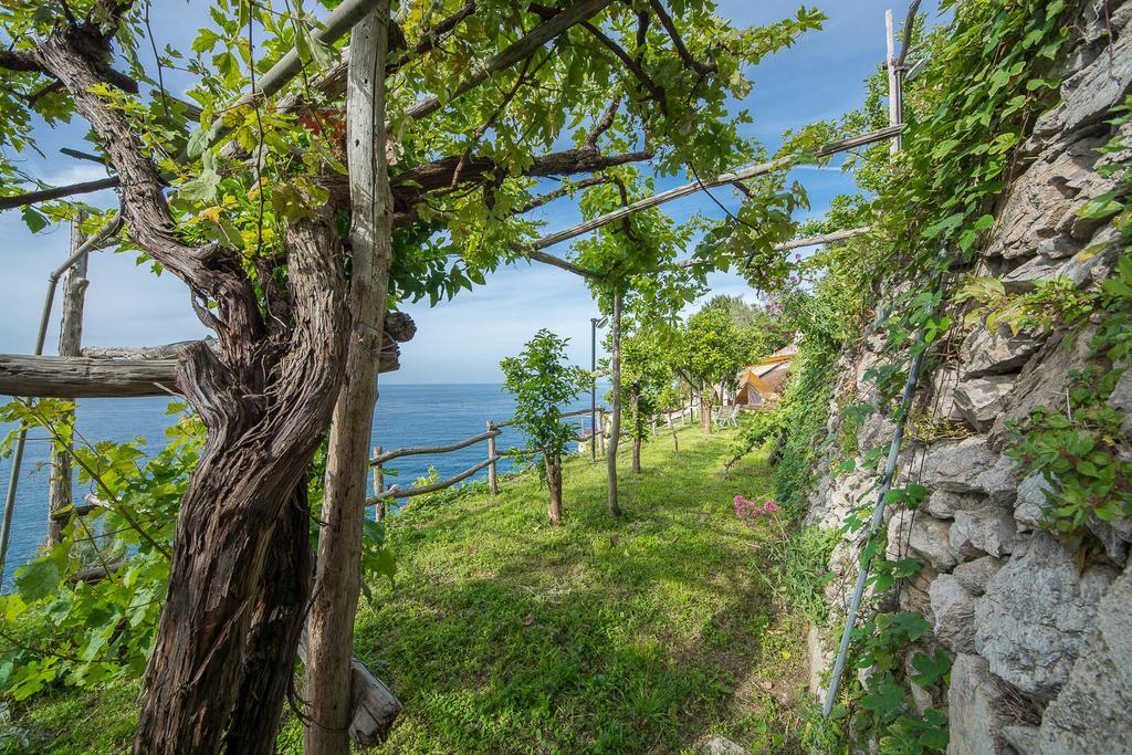 Farm stay Cannaverde - Amalfi Coast Camp Maiori